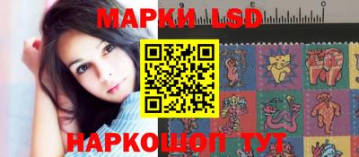 индика Славгород