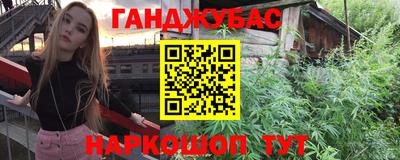 индика Славгород