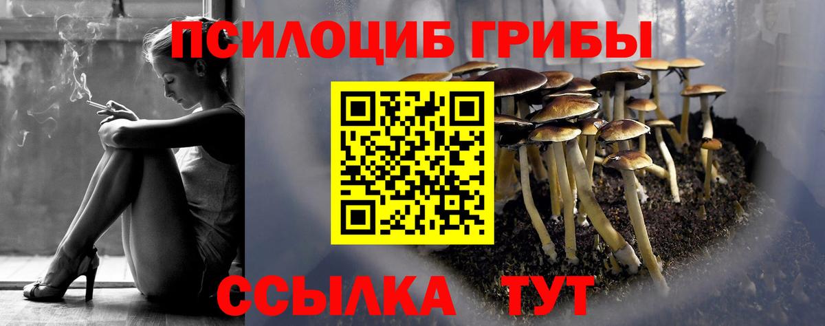 Псилоцибиновые грибы Magic Shrooms Печора