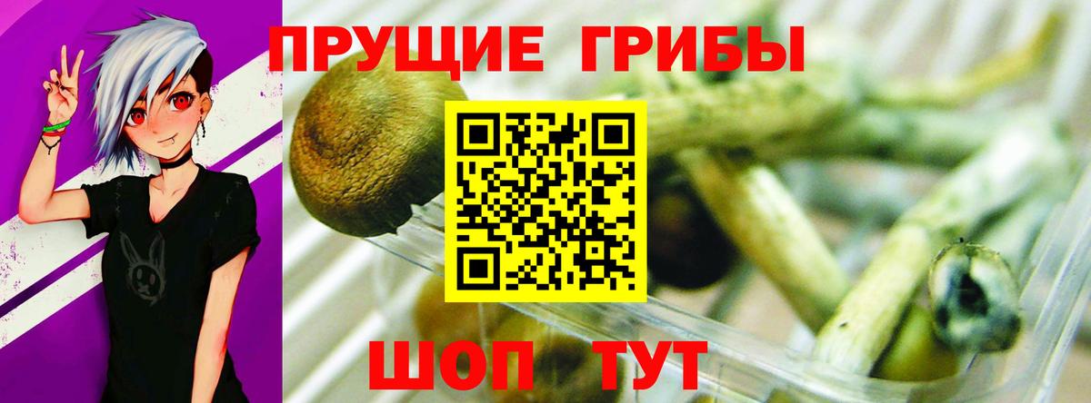 Печора  наркошоп  Вход с VPN  Псилоцибиновые грибы прущие грибы 